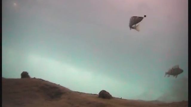 Не самая лучшая рыбалка. смотреть онлайн