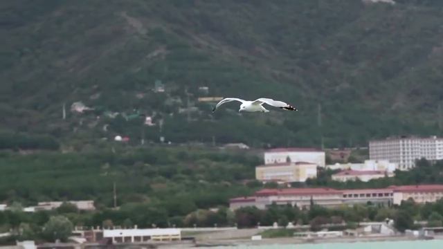 Cool Russian aviation and production video (and other). смотреть онлайн