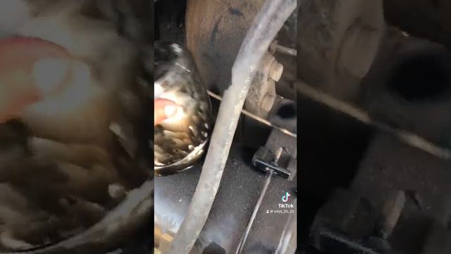 Я залип под наши старые фотки смотреть онлайн