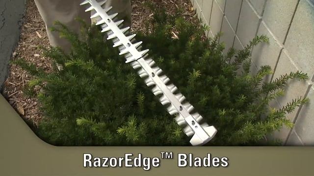 ECHO_Hedge Trimmers_HC-155_Product Knowledge Video смотреть онлайн