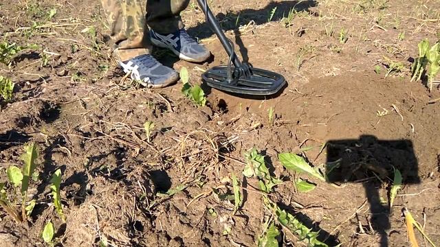 Тест и небольшой обзор Quest X5 смотреть онлайн