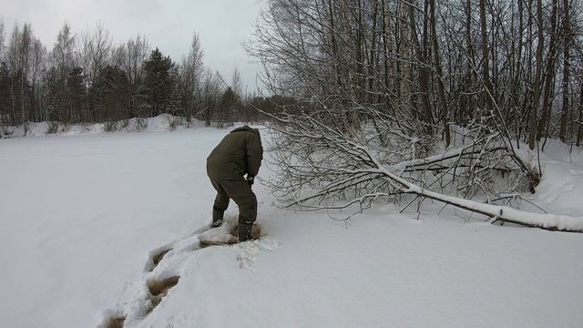 ТЕСТ-ОБЗОР камеры МУРЕНА!!! ПОДВОДНЫЕ СЪЁМКИ. смотреть онлайн