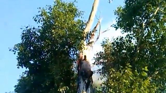 башкирия удар молнии в калтаево 11.06.14 смотреть онлайн