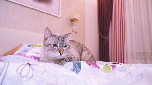 ПОД ЛЕЖАЧИЙ КАМЕНЬ вода не течет! Веселый ЮКИ и ПОСЛОВИЦЫ