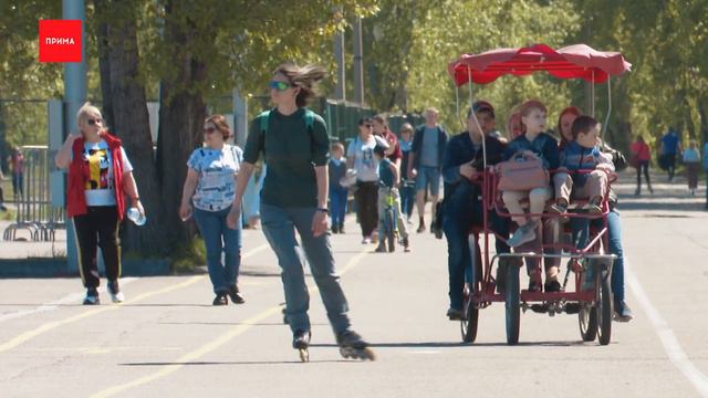 Локация № 45: остров Татышев смотреть онлайн