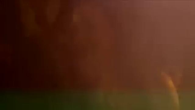 Tim Berg - Bromance (Official Music Video)