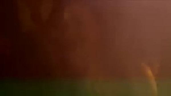 Tim Berg - Bromance (Official Music Video)