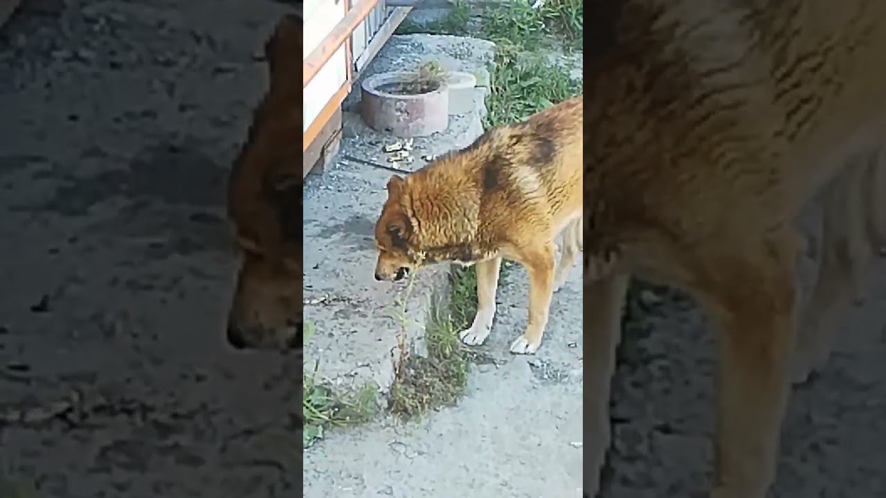 6 августа 2023 г.