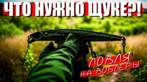 ОГРОМНЫЙ ВОБЛЕР против МАЛЫША!!!??? Ловля ЩУКИ на воблеры в МАЕ!!!