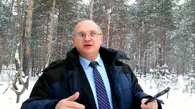 Лес, в котором многодетным семьям Дзержинска, выделили землю для строительства смотреть онлайн