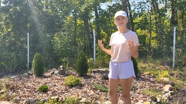 Красоты нашего лета 2021 на даче..... смотреть онлайн