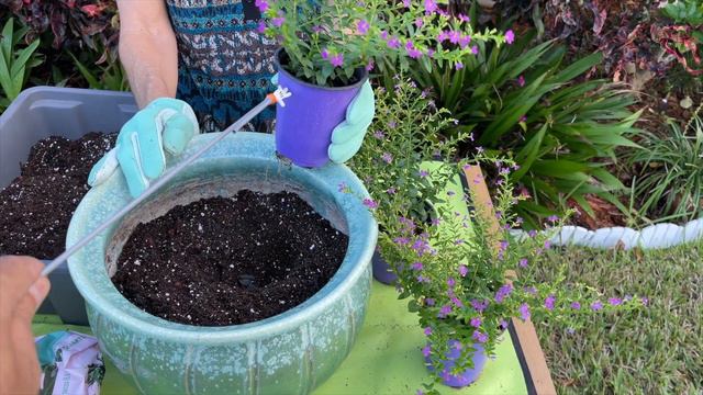 BEST POTTING SOILS FOR PLANTS смотреть онлайн