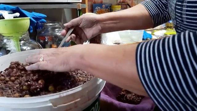 ПРИГОТОВЛЕНИЕ ДОМАШНЕГО ВИНА ИЗАБЕЛЛА! ОКТЯБРЬ 2020. смотреть онлайн