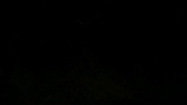 Auckland Sky Tower and bay New Zealand 3rd of three videos смотреть онлайн