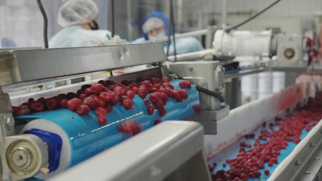 Washington Red Raspberry Harvesting & Processing Tour смотреть онлайн