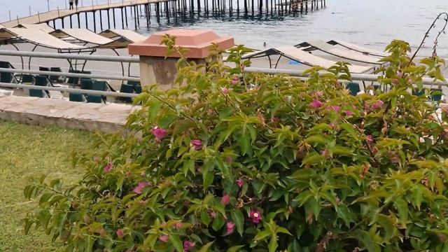 Цены на бензин в Турции. Погода и пляжи Алании. смотреть онлайн