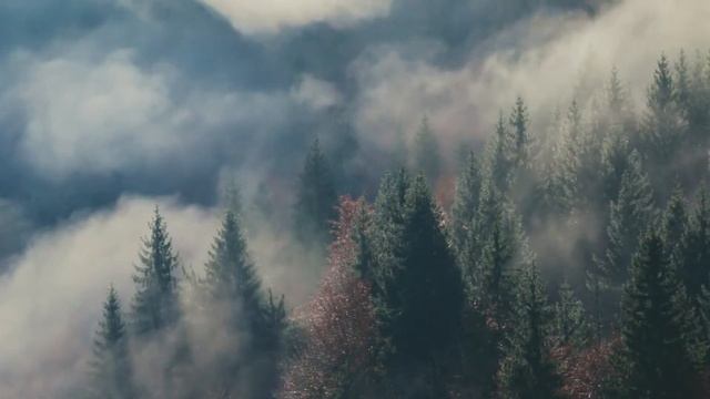 Красивый Парк смотреть онлайн