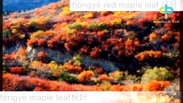 秋天[qiū tiān] Autumn-related Chinese phrases смотреть онлайн