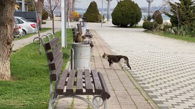 СПАСИБО ВАМ МОИ ДОРОГИЕ ДЕВОЧКИ ЗА ПОДДЕРЖКУ И ПОНИМАНИЕ! ❤️ смотреть онлайн