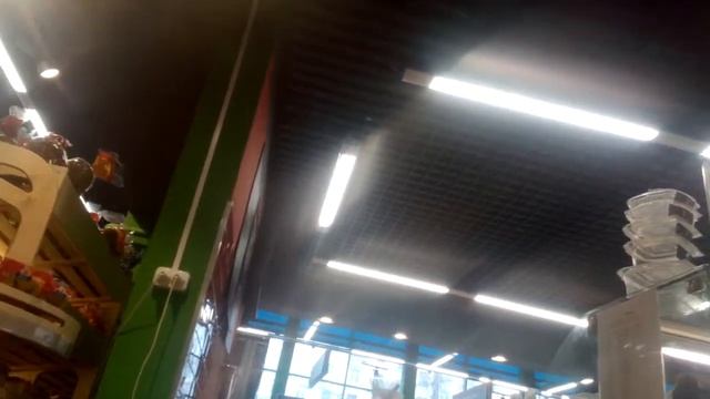 г.Москва ул.Щербакова д.7а ( маг- перекрёсток ) просроченные продукты и фрукты овощи отмороженные смотреть онлайн