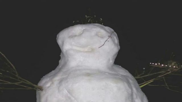 НАС ПОЙМАЛИ?! ЧТО?! ШОК! | ШИХОВСКИЕ ПРИКЛЮЧЕНИЯ V.1. | VLOG смотреть онлайн