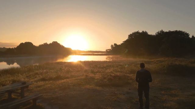 СТРАНЫ БЕНИЛЮКСА смотреть онлайн