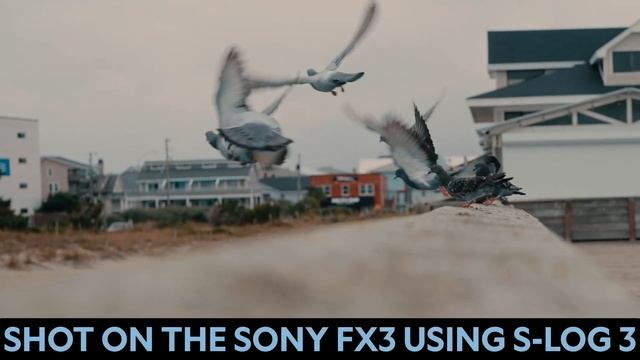 Canon R6 vs. Sony FX3 | Why I Switched to Sony смотреть онлайн