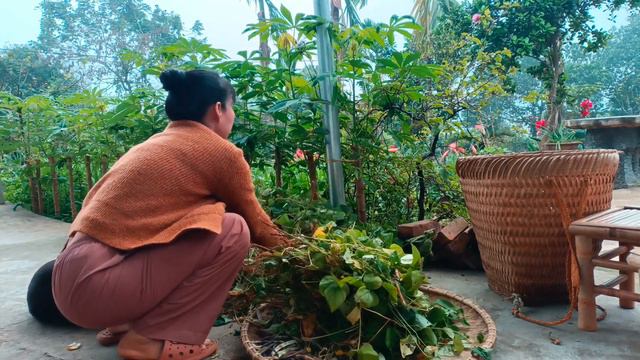 Build a frame garden, grow vegetables, harvest white beans and tomatoes, and cook смотреть онлайн