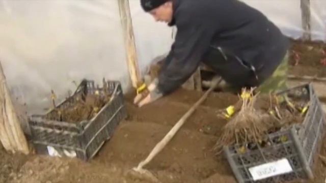 "В ладу с природой" - 273 Чем обрабатывать почву на даче смотреть онлайн