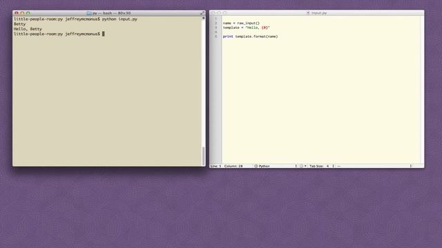 CodeLesson Handling User Input in Python смотреть онлайн