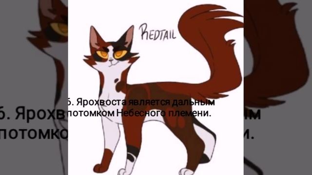 Топ 10 фактов о Ярохвосте |Факты Коты - Воители| смотреть онлайн