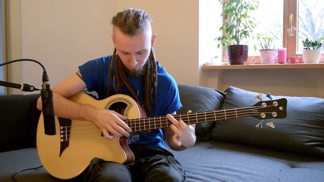 Dmitry Lisenko - Self Portrait by Steps Ahead (acoustic bass cover) percussive bass смотреть онлайн