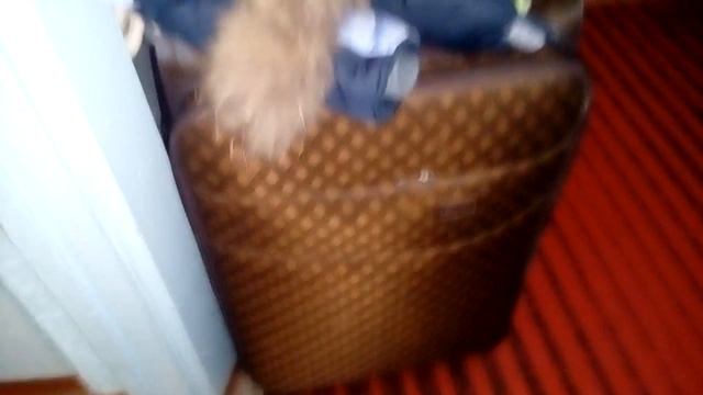 Мы в санатории ,,Дарасун '''' смотреть онлайн