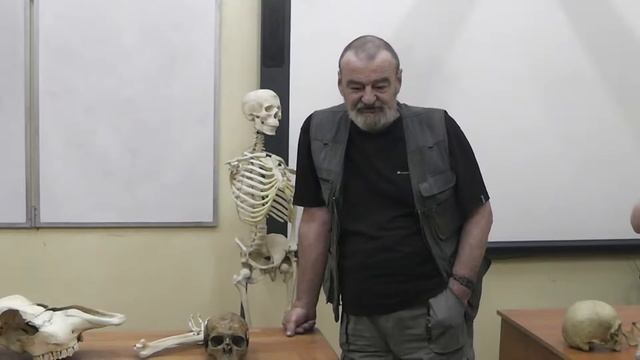 23 Сравниваем два черепа смотреть онлайн