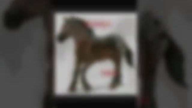 Знаки лошадок смотреть онлайн