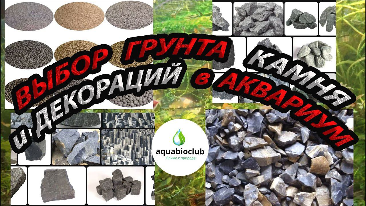 Выбор грунта, камней и декораций в аквариум. Уход, обслуживание и лайфхаки с грунтом и камням. смотреть онлайн