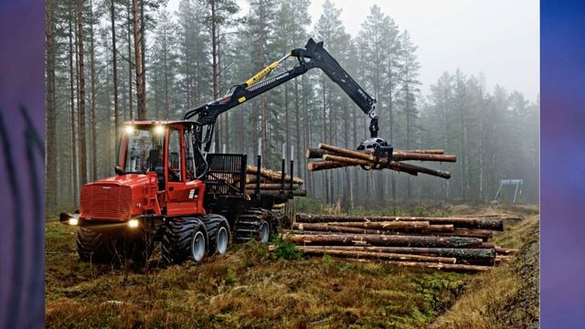 §46 "Лесные зоны", География 8 класс, Полярная звезда смотреть онлайн