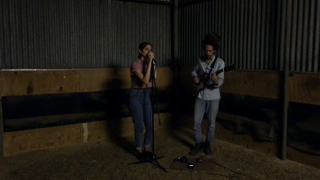 Love Is A Losing Game - LAVAL Cover смотреть онлайн