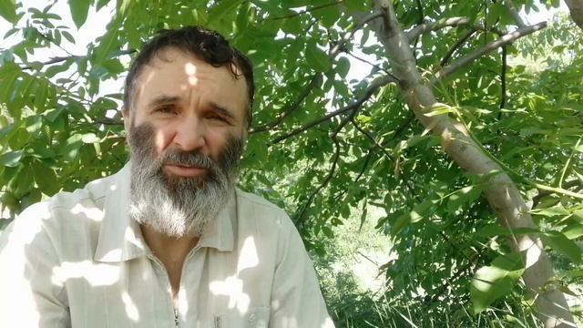 надо думать смотреть онлайн