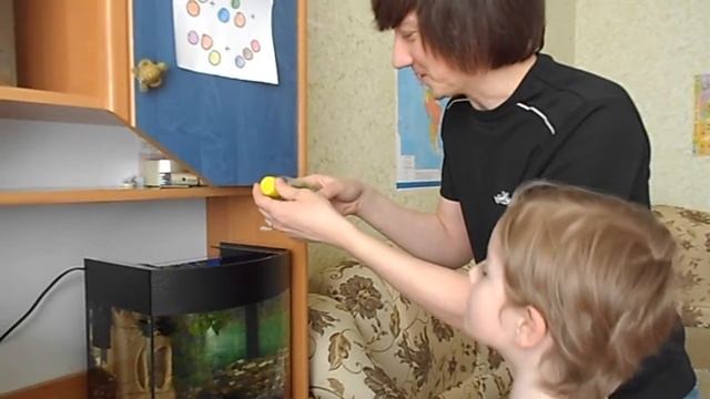 Запуск креветочника объемом 22 литра. Обыкновенные неокардины смотреть онлайн