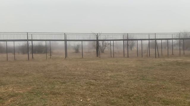 Куча детворы и Белые львы Ричард и Дейл !!!