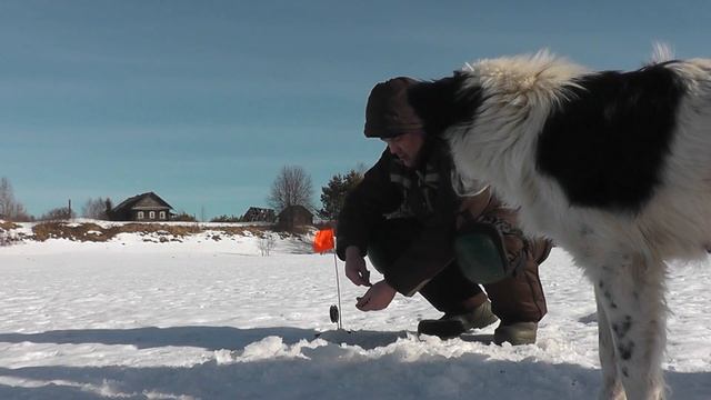 КАК ТАК ТО? Так сказали рыбаки УВИДЕВ МОЙ УЛОВ! Отличная РЫБАЛКА ВЕСНОЙ! смотреть онлайн