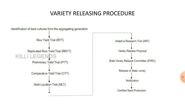 Recently released varieties of TN & It's procedure | Crop improvement | смотреть онлайн