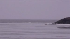 С.Б.Ф.З. водыvsлёды