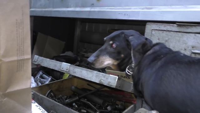 Как пережила морозы -50С подвеска Terrano смотреть онлайн