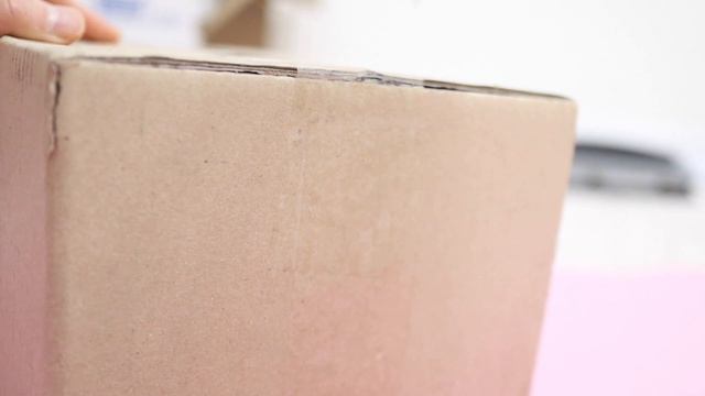 Honest Review Of Random Kawaii & Interesting Stuff Including Valentine's Day Gift Ideas!