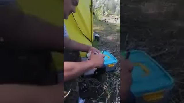 Карповая рыбалка смотреть онлайн