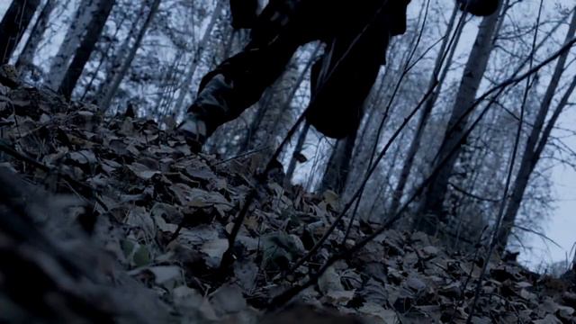 EVP Отражение