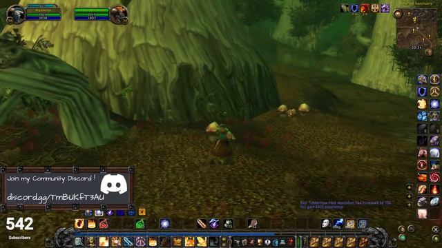 Turtle WoW HC [027] LVL 58 Paladin just grinding to 59... смотреть онлайн