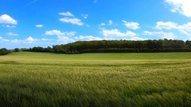 Healing Music / Harmony HD // Исцеляющая музыка. Гармония // Բուժիչ երաժշտություն / Հարմոնիա ♫